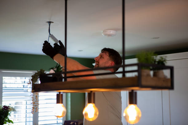 Best Local Electrician Companies  in Muleshoe, TX