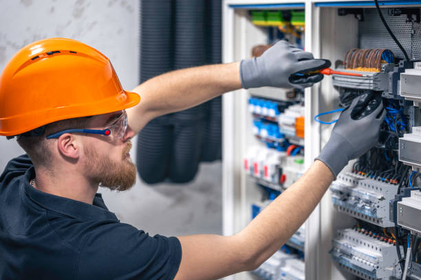 Best Electrical System Inspection  in Muleshoe, TX